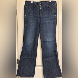 Ann Taylor Modern Fit jeans